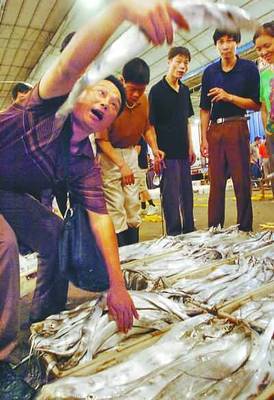 透骨新鲜第一网鱼上市——品味海洋的馈赠