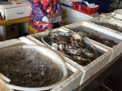 节后市场观察 菜价回落水产品降价，农产品供需趋稳