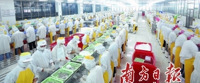 供给侧结构性改革 驱动广东渔业现代化与农产品升级的新引擎