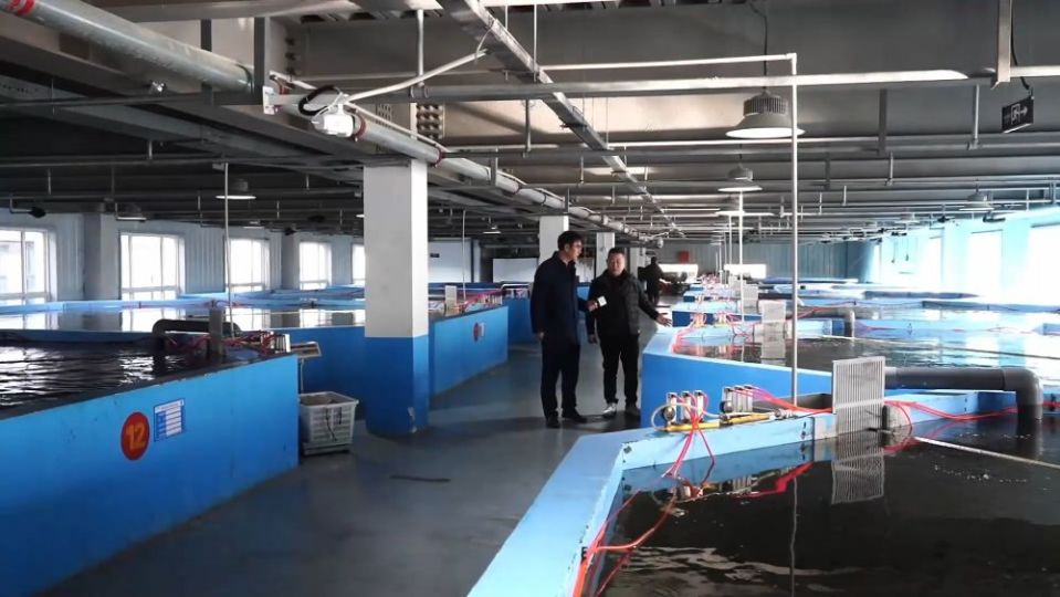 冬日暖阳里，听一曲乡村振兴的“鱼米”交响