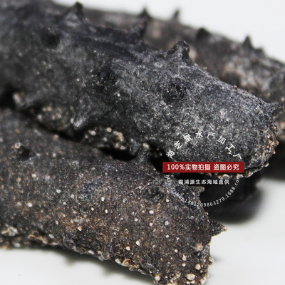 厂家直供大连纯淡干海参 从冷冻粗加工到品质干货的一站式批发