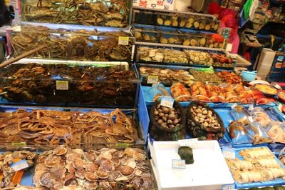 冬日恋歌 1月中下旬首尔-济州岛14日蜜月游与济州岛婚纱摄影攻略