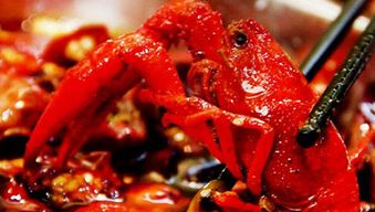 水产养殖溯源系统 让消费者放心的农产品保障